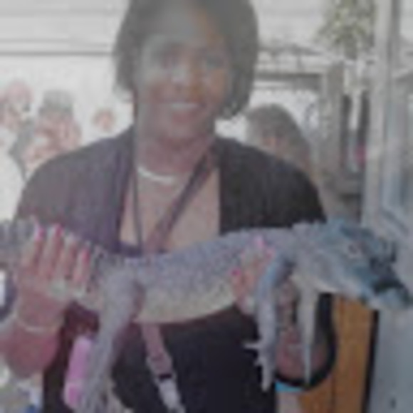 karenpalmer252